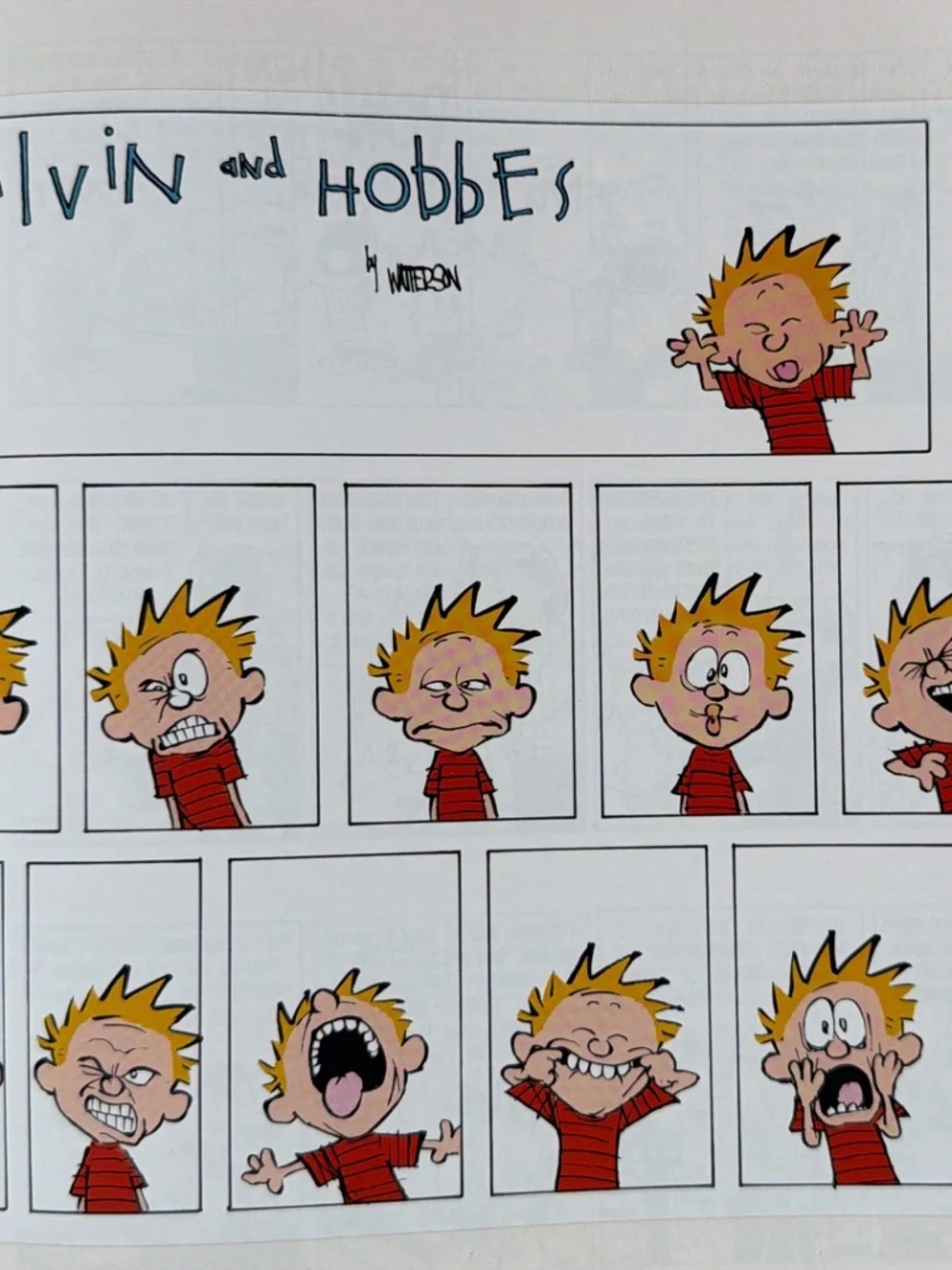 The Complete Calvin And Hobbes Paperback Collection Box Set by Bill Watterson!